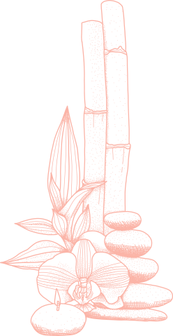 https://cutecutfamilyparlour.com/wp-content/uploads/2021/04/cbn-2.png